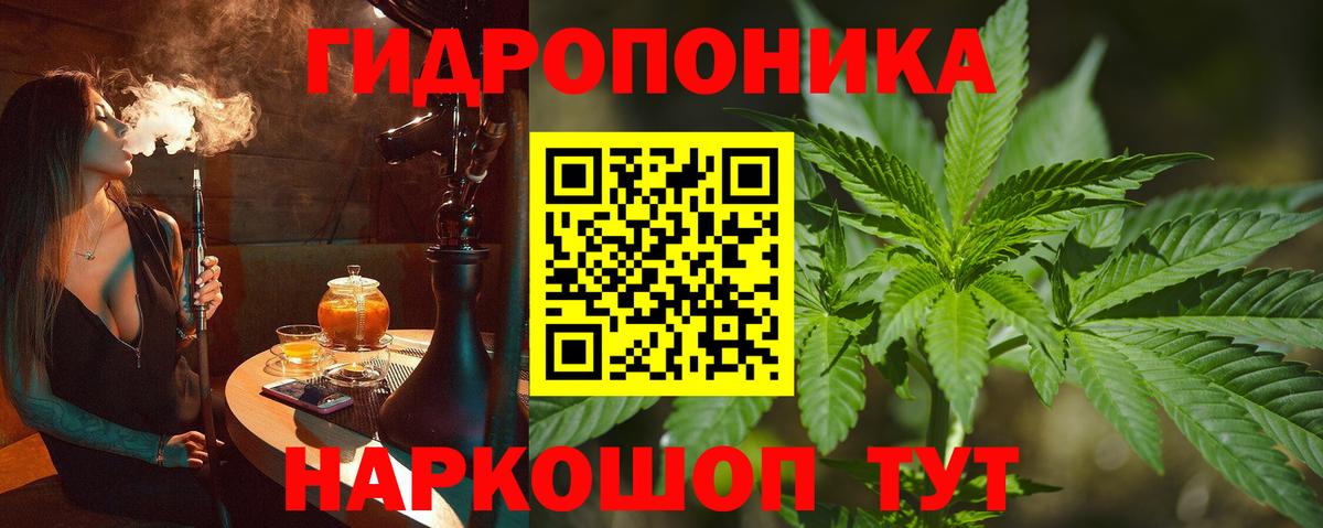 Ногинск  Марихуана план  Конопля SATIVA & INDICA  Вход с VPN  Бошки марихуана White Widow 